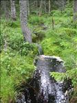 Sweden 2007-08 078